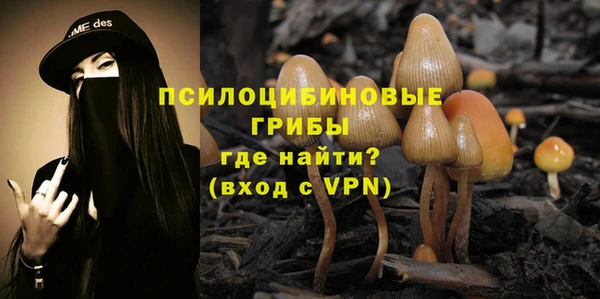 PSILOCYBIN Балахна